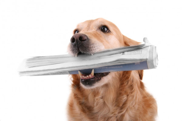 35 лет первому полету космонавта Афанасьева с Брянщины