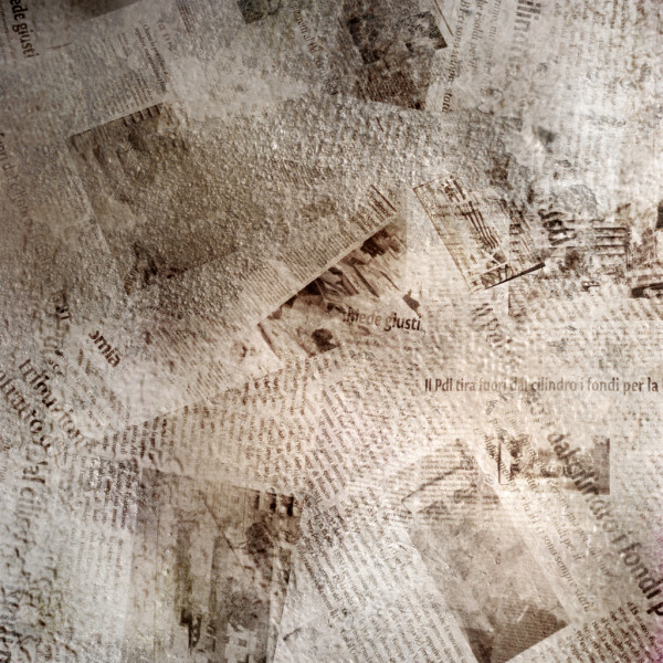 В Московской области отчитались о ходе уборки зерновых