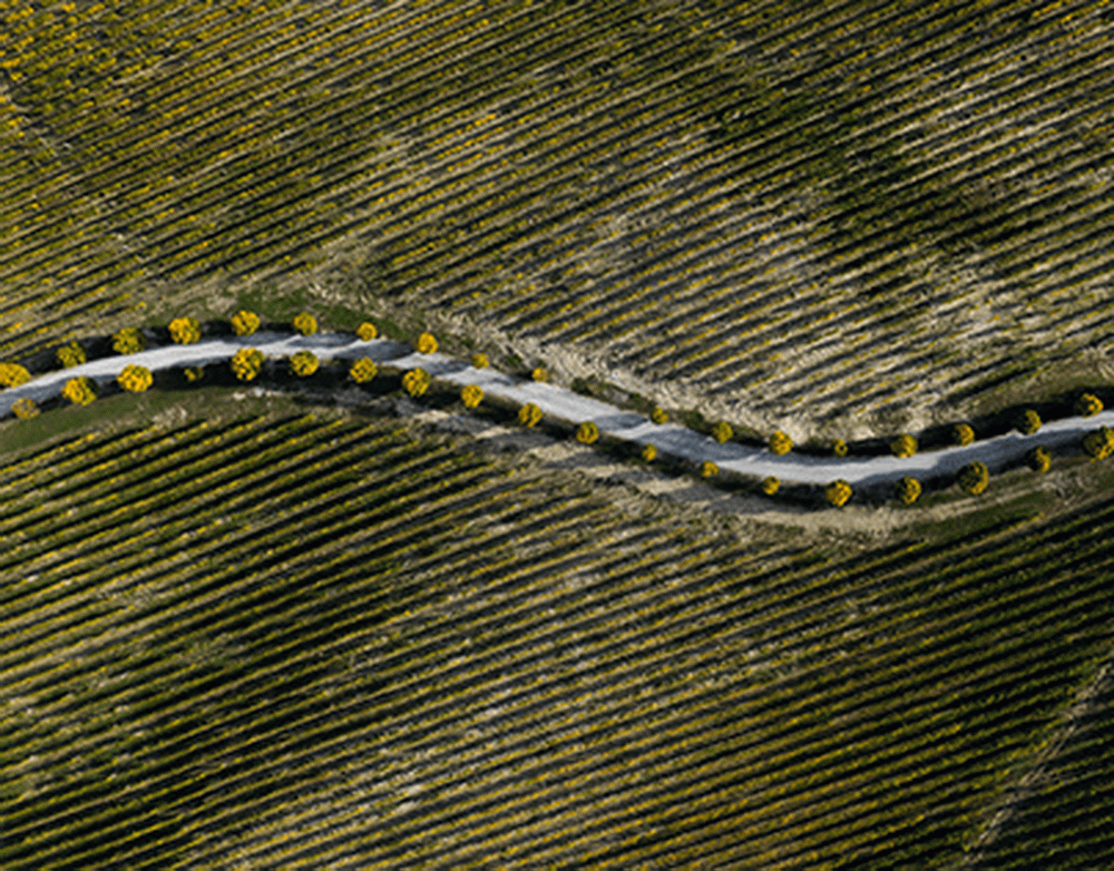 Казахстан  Лихтенштейн: Кенжебек оформил дубль и довёл счёт до разгромного на 59-й минуте